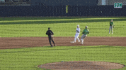 Seahawks GIF by UNCW Baseball