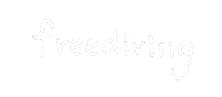 Sea Turtle Dive Sticker by SECDIV
