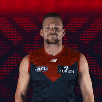 melbourne football club applause GIF by Melbournefc