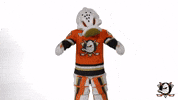 Wild Wing Yes GIF by Anaheim Ducks