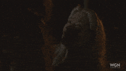 wgn america laughing GIF by Outsiders