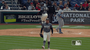 Excited Lets Go GIF by MLB