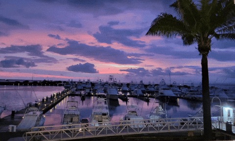 Seabrook_steve  GIF