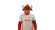 Rbl Hallo Sticker by RB Leipzig