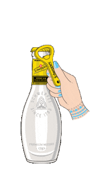 gin tonic fiesta Sticker by Schweppes Suntory España