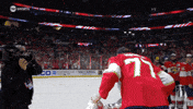 Stanley Cup Playoffs Win GIF by NHL