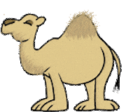 camel STICKER