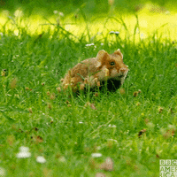 Hungry On My Way GIF by BBC America