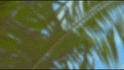 Golden Closet Film Saipan GIF by BTS