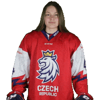 Celebration Hockey Sticker by Národní tým
