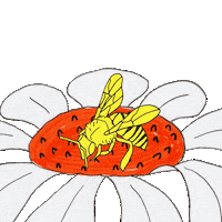 Cartoon Illustration Sticker by Same