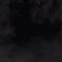 GIF by PRO14Official