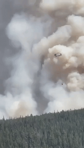 Idaho Moose Fire Burns Over 38,000 Acres