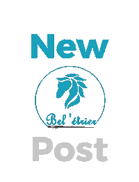 Beletrier beletrier beletriernewpost Sticker