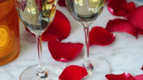 romance love GIF by Petrossian