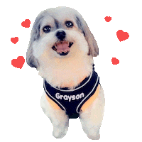 In Love Sticker