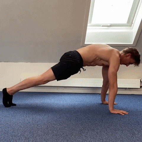 jonasgutfeltskalbo giphygifmaker GIF