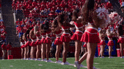 GIF by Rutgers Football