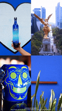 Serve Mexico City GIF by Milagro Tequila