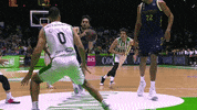 Assist Real Madrid GIF by ACB