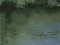 studio ghibli animation GIF by rotomangler
