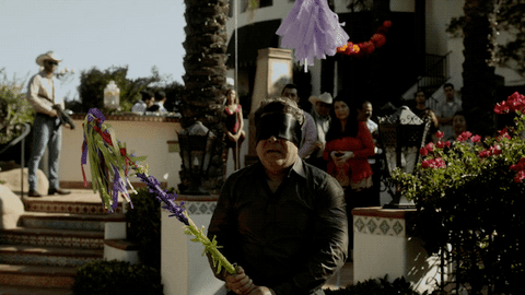 fox GIF by The Last Man On Earth