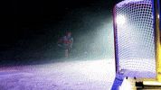 Hockey GIF by Toledo Walleye