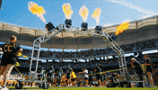 Baylor Bears Sic Em GIF by Baylor Athletics