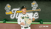 College Baseball Lee GIF by GreenWave