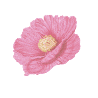 Pink Baby Sticker by Marlo Kids