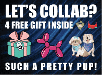 Pettumblefree GIF by Pettumble.com