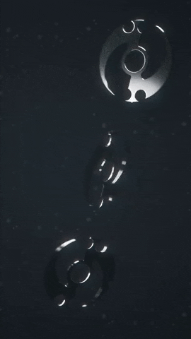 five31 giphyupload GIF