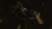 Wave Reaction GIF by Xbox
