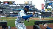 celebration rosario GIF by MLB