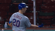 High Five Ny Mets GIF by New York Mets