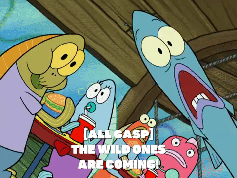 season 4 GIF by SpongeBob SquarePants