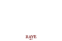 Hard Out Here Sticker by Raye