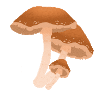 Fall Autumn Sticker by molehill