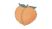 Justin Bieber Orange Sticker