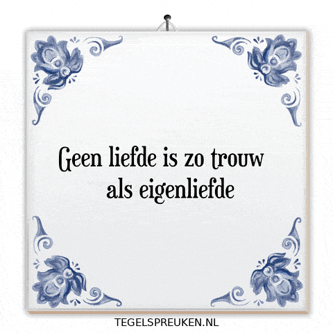 Humor Wijsheid GIF by Tegelspreuken.nl