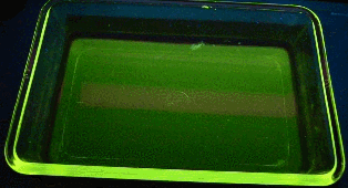 dartmouthgif GIF by Dartmouth College