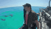 Shark Week Immersion GIF by Shark Week