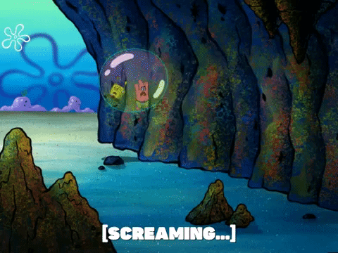 season 5 GIF by SpongeBob SquarePants