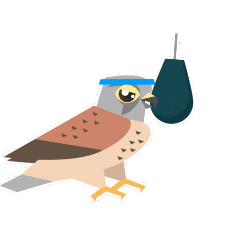 Bird Kestrel Sticker by RSPB
