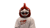 Roadrunners Rcnj Sticker by Ramapo College of New Jersey