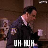 Uh Huh Romano GIF by TV Land