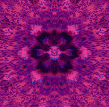 GIF by Leo Pyrata