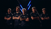 Line Up Team GIF by BLAST
