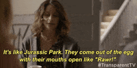 season 3 GIF by Transparent