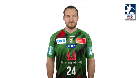 Handball-Bundesliga Handball GIF by DAIKIN HBL